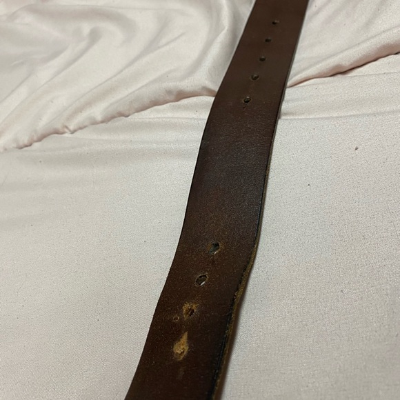 Fossil belt - Picture 5 of 5